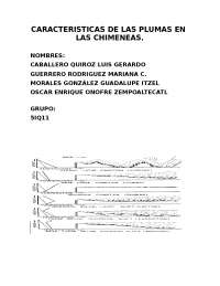 CARACTERÍSTICAS DE LAS PLUMAS EN LAS CHIMENEAS