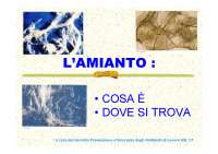L'Amianto: Proprietà, Tipologie e Impieghi