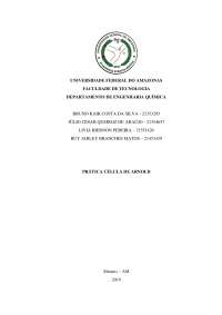 Relatorio celula de arnold