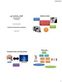 Controle do movimento voluntario