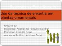 enxertia em plantas ornamentais