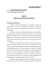 Gestação Gemelar em Animais Domésticos: Híbridos e Tipos de Gemelaridade