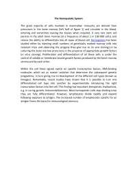 The Hemopoietic System: Bone Marrow Stem Cells and Blood Cell Development