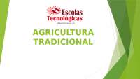 AGRICULTURA TRADICIONAL