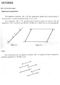 APOSTILA DE VETORES