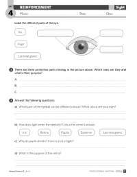 Reinforcement Exercises: Senses of Sight, Hearing, Smell, Taste, and Touch