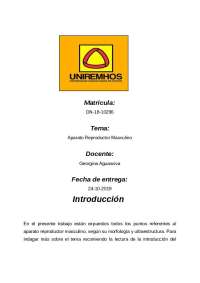 El Aparato Reproductor Masculino: Morfología y Ultraestructura