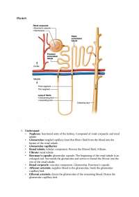 physiology lab summary of book