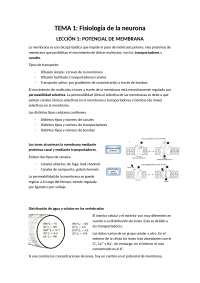 Fisiología de la neurona y señales eléctricas I - Docsity
