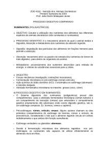 Processo dos Ruminantes