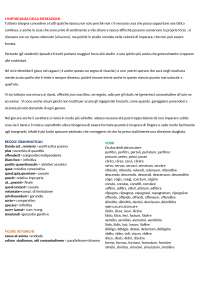 l'importanza della creazione, Quintiliano