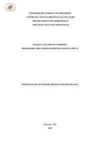 RELATÓRIO AULAS PRATICAS BIOLOGIA CELULAR E HISTOLOGIA