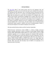Cell Cycle Markers: Role and Functions of MCM Proteins in DNA Replication