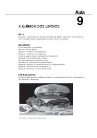 Resumos aulas de bioquímica