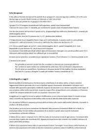 Strutture e interazioni molecolari (de Gioia)
