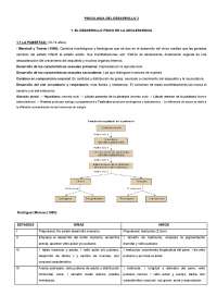 Psicologia del desarrollo 2