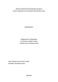 MONOGRAFIA - BRITAGEM E BRITADOR