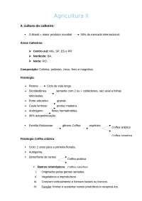 Agricultura básica sobre o café