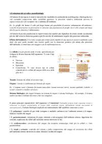 Riassunti lezioni Babiloni
