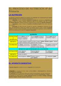 UNIDAD DIDACTICA FUNCION NUTRICION