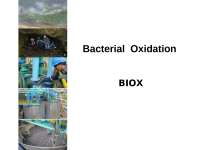 oxidacion bacteriana