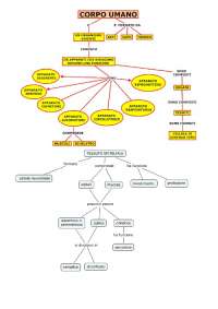 apparati-e-sistemi-mappe-igiene-e-cultura-medico-sanitaria-docsity