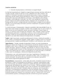 Storia tecnica dell'arte, Simona Rinaldi