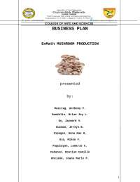 Business plan about mushroom production