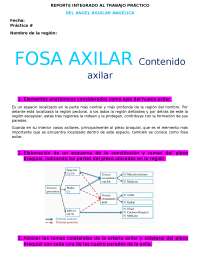 Manual Anatomía;https://static.docsity.com/media/avatar/documents/2020/01/27/f324ab8f90bb747fd42da3f600d7b3f0.jpeg;Fosa Axilar;6;https://www.docsity.com/es/fosa-axilar-contenido-de-la-fosa-axilar/5277874/;Fosa Axilar;https://alumnoide.com/descargar-abrir-online-fosa-axilar/ Anatomía;https://static.docsity.com/media/avatar/documents/2020/01/27/f324ab8f90bb747fd42da3f600d7b3f0.jpeg;Fosa Axilar;6;https://www.docsity.com/es/fosa-axilar-contenido-de-la-fosa-axilar/5277874/;Fosa Axilar;https://alumnoide.com/descargar-abrir-online-fosa-axilar/ PDF Español