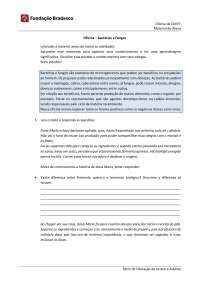 Oficina Fungos e Bactéria