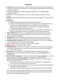 układ kostny, anatomia