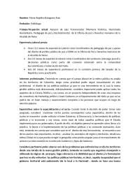 Síntesis de experiencia Gobernanza local