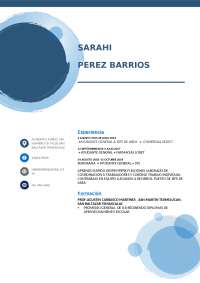 CURRICULUM VITAE EJEMPLO