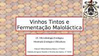 Fermentação malolática vinhos tintos