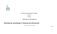 ACTIVIDAD 3 IEU SISTEMAS DE INFORMACION