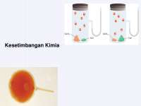 Kesetimbangan kimia yang menjelaskan keesetimbangan kimia