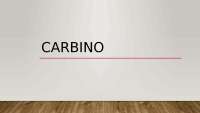 Presentación sobre el Carbino