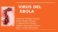Virus Ebola , trata de sus caracteristicas, donde predomina, modo de contagio, prevención, su tratamiento y si tiene cura, e tipo de virus que es.