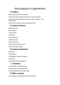 articulações e ligamentos