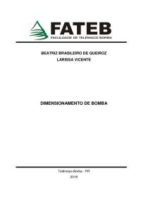 Dimensionamento de Bomba: Um Guia Completo para Engenheiros