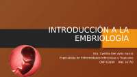 Introducción a la Embriología: Conceptos Básicos y Desarrollo Fetal