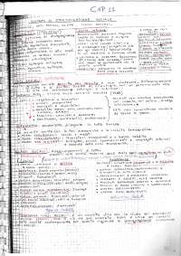 Sociologia Generale Docsity