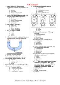 Cell transport MCQs.