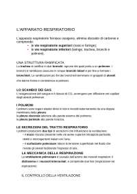 Anatomia, Fisiologia e Meccanica della Respirazione: Appunti Completi
