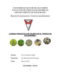 Análisis de la Cadena Productiva del Palmito en Cochabamba