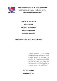 Trabalho de desenvolvimento da INDÚSTRIA DE PAPEL E CELULOSE