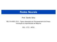 Slides sobre Redes Neurais