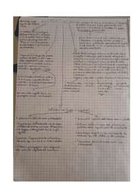 Lev Semënovič Vygotskij Docsity