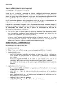 GOVERN LOCAL (apuntes)