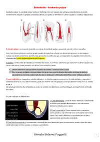 Endodontia- Anatomia Pulpar